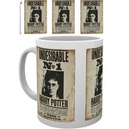 Figuren Hole in the Wall Harry Potter Undesirable Tasse Genf Shop Schweiz