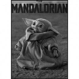 Figur  T-Shirt Star Wars The Mandalorian The Child Tonal (Baby Yoda) Limited Edition Geneva Store Switzerland