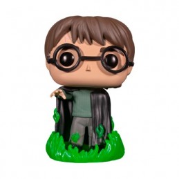 Figurine Funko Pop Phosphorescent Harry Potter et la Chambre des Secrets Harry avec Floo Powder Boutique Geneve Suisse