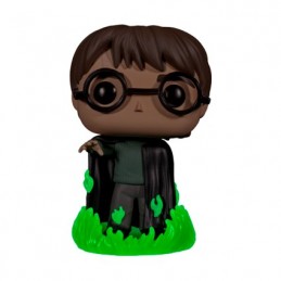 Figurine Funko Pop Phosphorescent Harry Potter et la Chambre des Secrets Harry avec Floo Powder Boutique Geneve Suisse