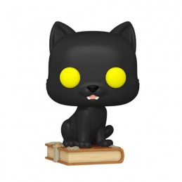 Figurine Funko Pop Disney Hocus Pocus Thackery Binx Edition Limitée Boutique Geneve Suisse