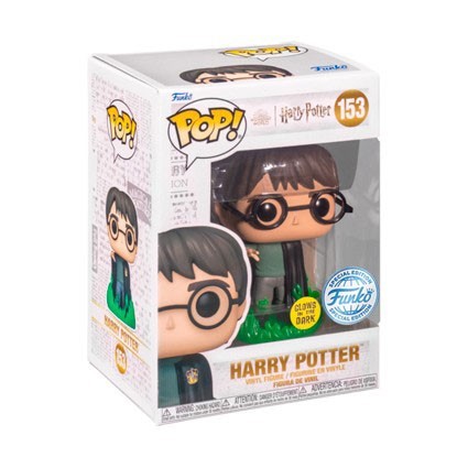 Figurine Funko Pop Phosphorescent Harry Potter et la Chambre des Secrets Harry avec Floo Powder Boutique Geneve Suisse