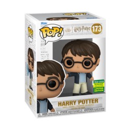 Pop SC 2024 Harry Potter...