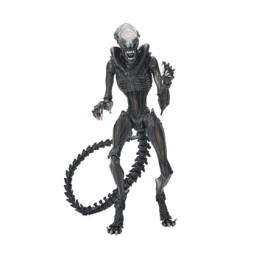 Figur Neca Alien Romulus Ultimate Scorched Xenomorph Geneva Store Switzerland