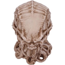 Figur Nemesis Now Cthulhu Skull Geneva Store Switzerland