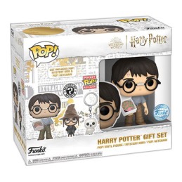 Figurine Funko Pop 2024 Exclusive Box Harry Potter July Harry Potter Boutique Geneve Suisse